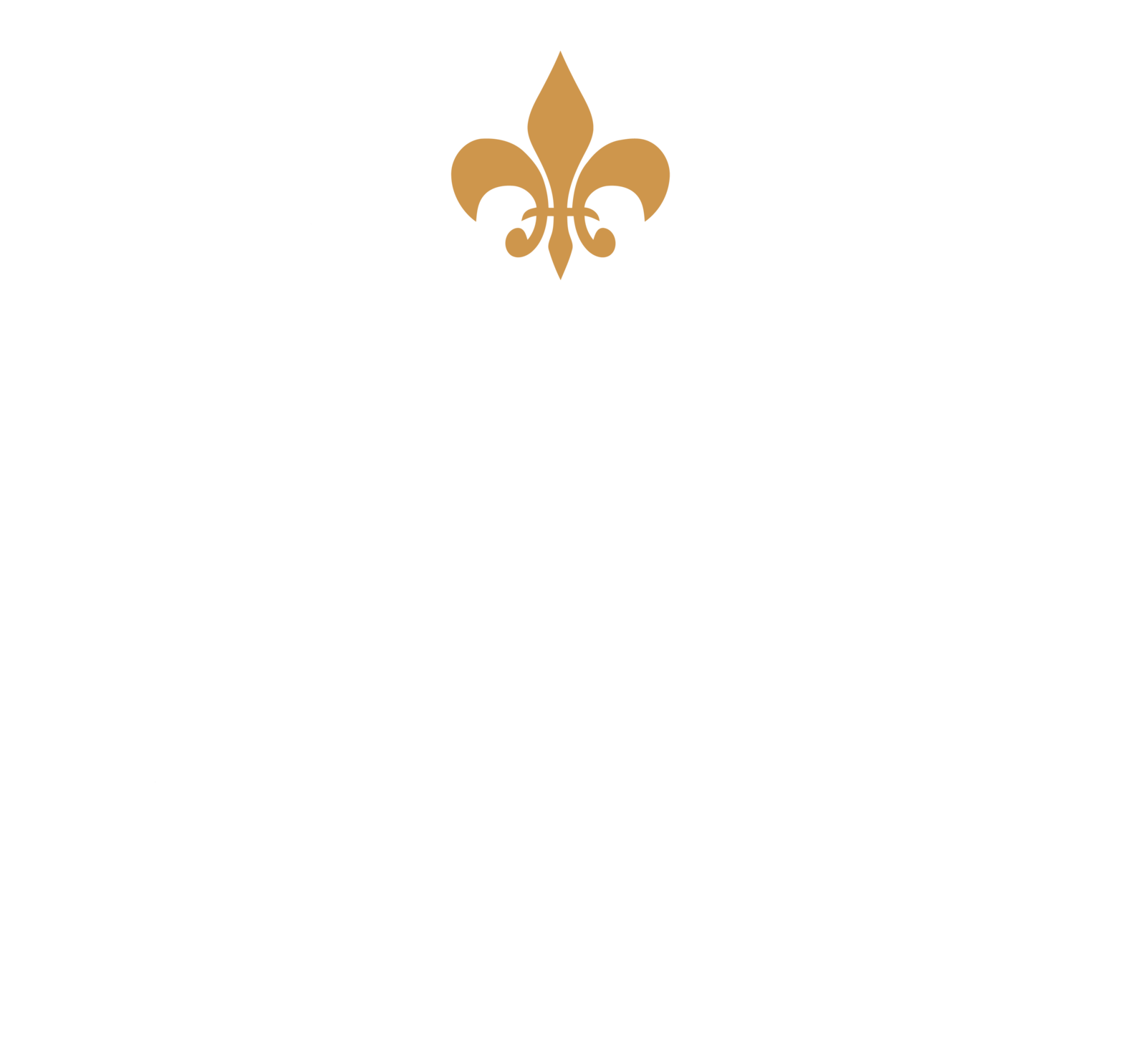 Iowa Trading Co Logo
